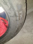 Nokian Z. ������, ����������, 2020 ���, �/�, ����� 5 % ����