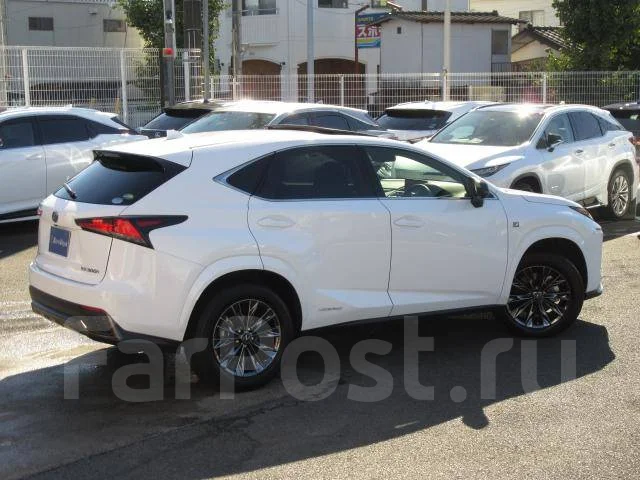 Lexus NX300h. ��������, 4wd, 2.5 (152��.�.), ������, �/�. ��� ����� �� ������������ ����