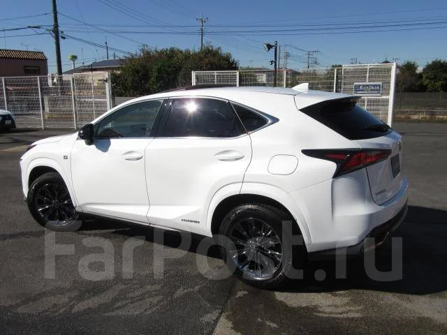 Lexus NX300h. ��������, 4wd, 2.5 (152��.�.), ������, �/�. ��� ����� �� ������������ ����