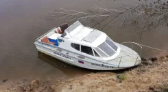 ���� 3. 1995 ���, ����� 5,7��., ��������� ������������, 77,23��.�., ������ ����