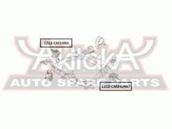 ������� ��������� ������ Asva 1212-CM24RH 1212CM24RH ����