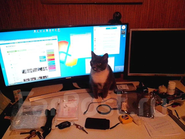 Samsung. 34" ����