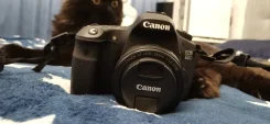 Canon EOS 60D ����