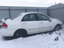 Kia Cerato ����