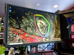 BenQ. 24.5" ����
