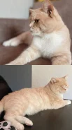 �����. ����