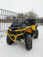 Stels ATV 850G Guepard Trophy. ��������, ���� ���\���, � �������� ����