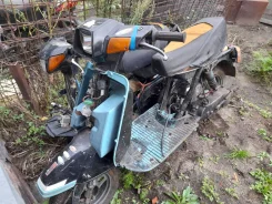 Suzuki Gemma ����