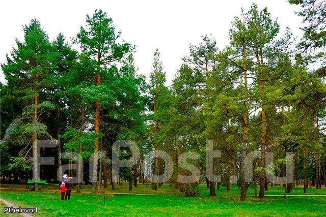 Фото шмаковка приморский край