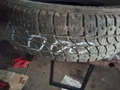 Tigar CargoSpeed. ������, ��� �����, �/�, ����� 50�% ����