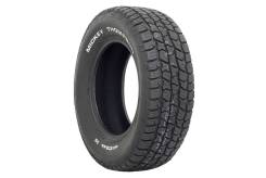 Mickey Thompson Deegan 38