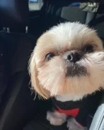 ��-���. ����