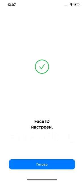Apple iPhone Xs Max. �/�, �������, 3G, 4G LTE, NFC ����
