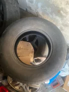 Gremax. ������, ��� �����, 2012 ���, �/�, ����� 50 % ����