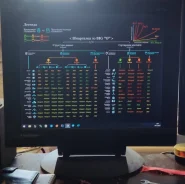 ViewSonic. 17" ����