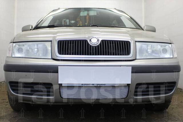 Защита радиатора для Skoda Octavia A5 (2008-2012) рестайл | Стандарт