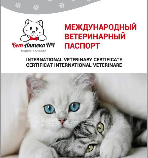 Паспорт ветеринарный для кошек (Барс) - Аксессуары во Владивостоке