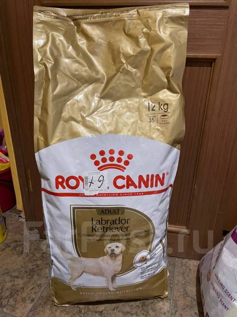 Корм для лабрадоров щенков премиум класса. Корм роял для лабрадоров. Роял канин для щенков крупных пород лабрадора. Корм роял для лабрадоров. Корм роял для лабрадоров.