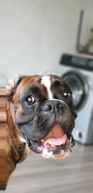 ������. ����