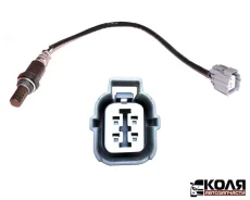 ����������� ������ F Honda Accord 1998-2002 2.0 (Honda) 36531PAAA02 ����
