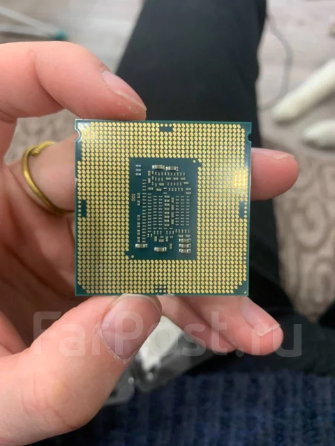 Intel Pentium Gold G5500 ����