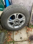 Toyo Tranpath S/U. ������, ����� ����