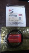   STD  1  Cummins ISF3.8 Iveco F4AE 3959079, 3947678, 4089258 