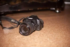 Canon EOS 500. 15 - 19.9 ��, ���: 5� ����