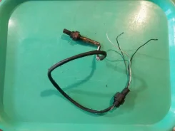 ������ ����������� �������� B31R18861A ����