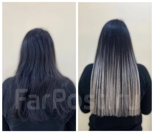����������� ����� | �������� ������ ����