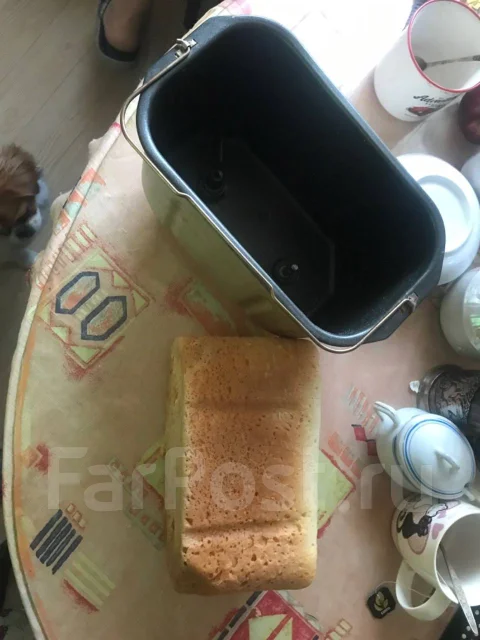 ����������. ����