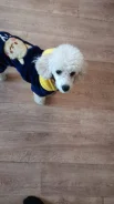 ����������. ����