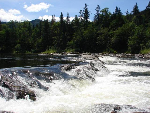 Река арму