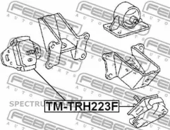 ������� ��������� | ����� ����/��� | Tmtrh223F TMTRH223F ����