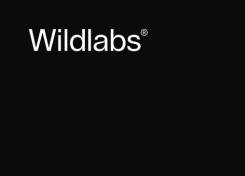 -. WILDLABS LIMITED NZBN 942 904 723 7841.   2 