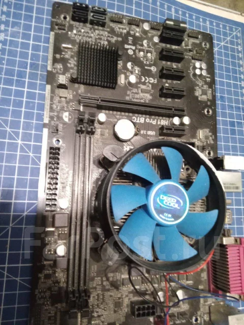 H81 ����
