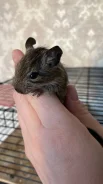 ����. ����