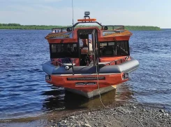 Discovery. 2022 ���, ����� 12��., ��������� ������������, 600��.�., ������. ��� ����� �� ����������� ����
