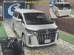 Toyota Alphard. 4wd, 2.5, ������, 2 000����. ��. ��� ����� �� ������������ ����