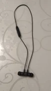 Acer ����