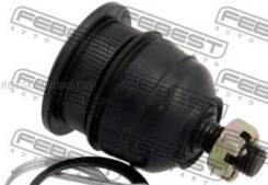     |  / | Febest 0320ODR 0320ODR 