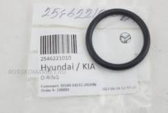    Hyundai-KIA 2546221010 2546221010 