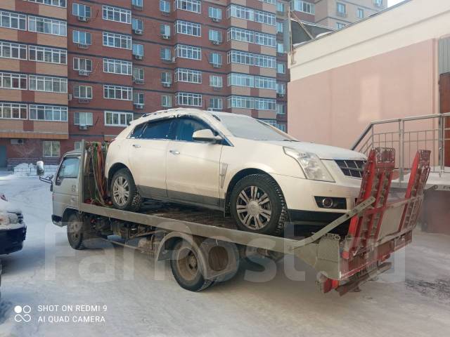 ����������. ����