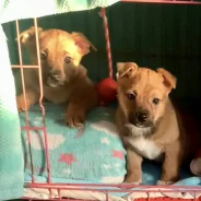 �����. ����