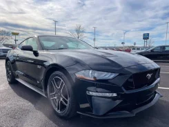 Ford Mustang. ��������, ������, 5.0 (460��.�.), ������, 22����. ��, �/�. ��� ����� �� ������������ ����