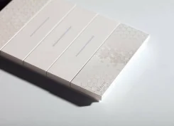 �����������. ����