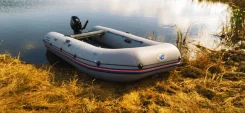 �����. 2021 ���, ����� 3,8��., ������ ����