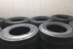 ���� NT-202. �����������, 2024 ���, ����� ����