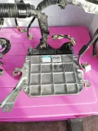 ������ ���� ���������� 1610080003 ����