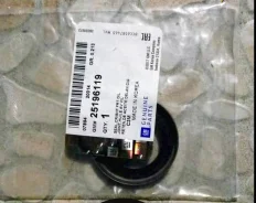 ������� ��������� �������� 25196119/96980206 GM 25196119 ����